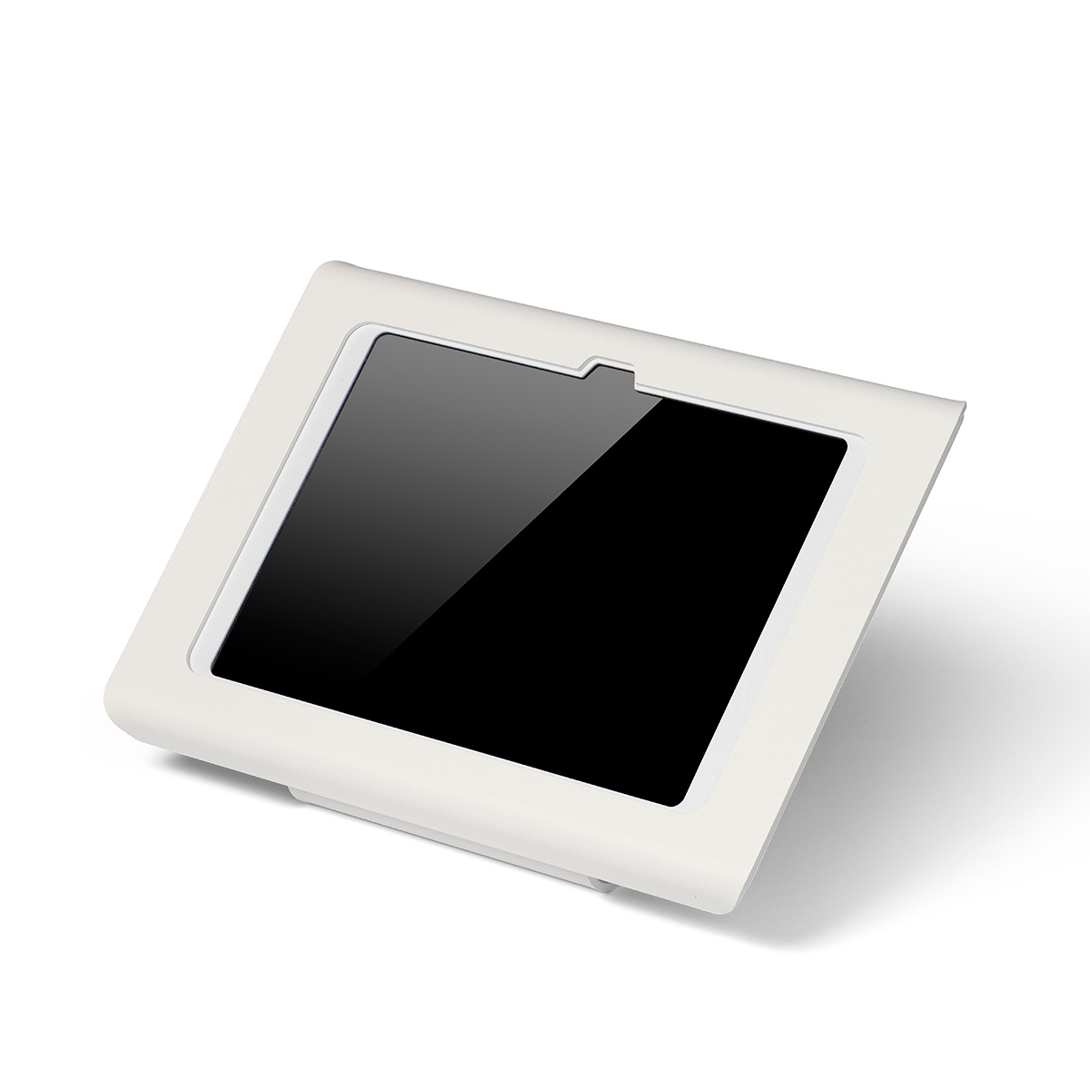 Tabdoq Professional iPad kiosk