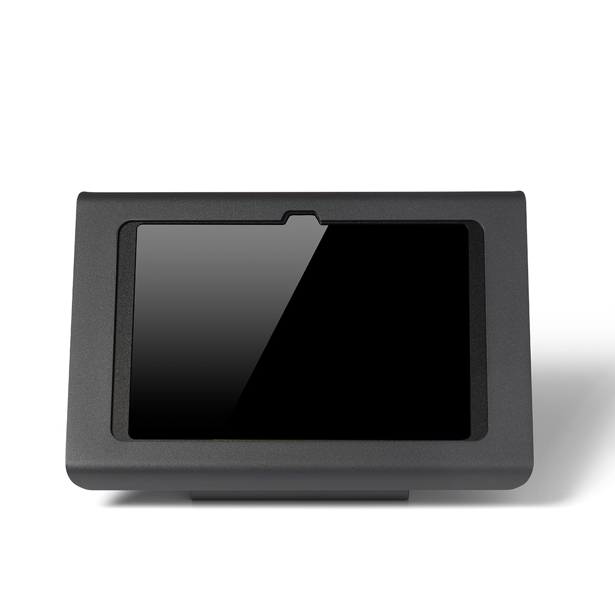 Tabdoq Professional iPad kiosk